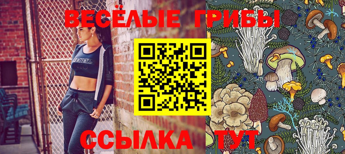 Псилоцибиновые грибы ЛСД Искитим